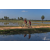 Team 05 / Raid Amazones Sri Lanka 2019 - J5 Bike and Run