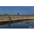 Team 122 / Raid Amazones Sri Lanka 2019 - J5 Bike and Run