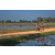 Team 47 / Raid Amazones Sri Lanka 2019 - J5 Bike and Run