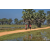 Team 19 / Raid Amazones Sri Lanka 2019 - J5 Bike and Run