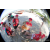 Team 28 / Raid Amazones Sri Lanka 2019 - J5 Bike and Run