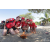 Team 28 / Raid Amazones Sri Lanka 2019 - J5 Bike and Run
