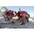 Team 29 / Raid Amazones Sri Lanka 2019 - J5 Bike and Run