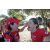 Team 34 / Raid Amazones Sri Lanka 2019 - J5 Bike and Run