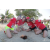Team 33 / Raid Amazones Sri Lanka 2019 - J5 Bike and Run