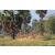 Raid Amazones Sri Lanka 2019 - J5 Bike and Run