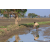 Raid Amazones Sri Lanka 2019 - J5 Bike and Run