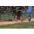 Team 15 / Raid Amazones Sri Lanka 2019 - J5 Bike and Run