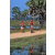 Team 15 / Raid Amazones Sri Lanka 2019 - J5 Bike and Run