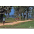 Team 07 / Raid Amazones Sri Lanka 2019 - J5 Bike and Run