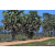 Team 33 / Raid Amazones Sri Lanka 2019 - J5 Bike and Run