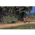Team 33 / Raid Amazones Sri Lanka 2019 - J5 Bike and Run
