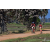 Team 33 / Raid Amazones Sri Lanka 2019 - J5 Bike and Run