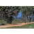Team 06 / Raid Amazones Sri Lanka 2019 - J5 Bike and Run