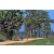 Team 06 / Raid Amazones Sri Lanka 2019 - J5 Bike and Run