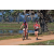 Team 06 / Raid Amazones Sri Lanka 2019 - J5 Bike and Run