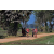 Team 107 / Raid Amazones Sri Lanka 2019 - J5 Bike and Run