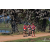 Team 107 / Raid Amazones Sri Lanka 2019 - J5 Bike and Run