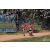 Team 114 / Raid Amazones Sri Lanka 2019 - J5 Bike and Run