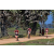 Team 114 / Raid Amazones Sri Lanka 2019 - J5 Bike and Run