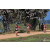 Team 114 / Raid Amazones Sri Lanka 2019 - J5 Bike and Run