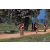 Team 18 / Raid Amazones Sri Lanka 2019 - J5 Bike and Run