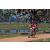 Team 18 / Raid Amazones Sri Lanka 2019 - J5 Bike and Run