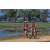 Team 12 / Raid Amazones Sri Lanka 2019 - J5 Bike and Run