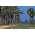 Team 08 / Raid Amazones Sri Lanka 2019 - J5 Bike and Run