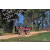 Team 01 / Raid Amazones Sri Lanka 2019 - J5 Bike and Run