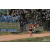 Team 36 / Raid Amazones Sri Lanka 2019 - J5 Bike and Run