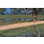 Team 120 / Raid Amazones Sri Lanka 2019 - J5 Bike and Run