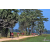 Team 28 / Raid Amazones Sri Lanka 2019 - J5 Bike and Run
