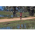 Team 17 / Raid Amazones Sri Lanka 2019 - J5 Bike and Run