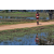 Team 17 / Raid Amazones Sri Lanka 2019 - J5 Bike and Run
