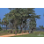 Team 38 / Raid Amazones Sri Lanka 2019 - J5 Bike and Run