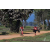 Team 30 / Raid Amazones Sri Lanka 2019 - J5 Bike and Run