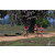 Team 103 / Raid Amazones Sri Lanka 2019 - J5 Bike and Run