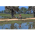 Team 50 / Raid Amazones Sri Lanka 2019 - J5 Bike and Run