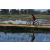 Team 50 / Raid Amazones Sri Lanka 2019 - J5 Bike and Run