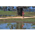 Team 50 / Raid Amazones Sri Lanka 2019 - J5 Bike and Run