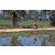 Team 50 / Raid Amazones Sri Lanka 2019 - J5 Bike and Run