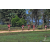 Team 123 / Raid Amazones Sri Lanka 2019 - J5 Bike and Run