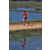 Team 123 / Raid Amazones Sri Lanka 2019 - J5 Bike and Run