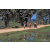 Team 135 / Raid Amazones Sri Lanka 2019 - J5 Bike and Run