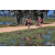 Team 135 / Raid Amazones Sri Lanka 2019 - J5 Bike and Run
