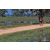 Team 102 / Raid Amazones Sri Lanka 2019 - J5 Bike and Run