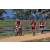 Team 122 / Raid Amazones Sri Lanka 2019 - J5 Bike and Run