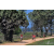 Team 143 / Raid Amazones Sri Lanka 2019 - J5 Bike and Run
