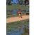 Team 143 / Raid Amazones Sri Lanka 2019 - J5 Bike and Run
